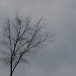 心が死んだ日のこと