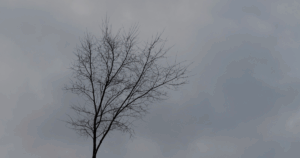 心が死んだ日のこと